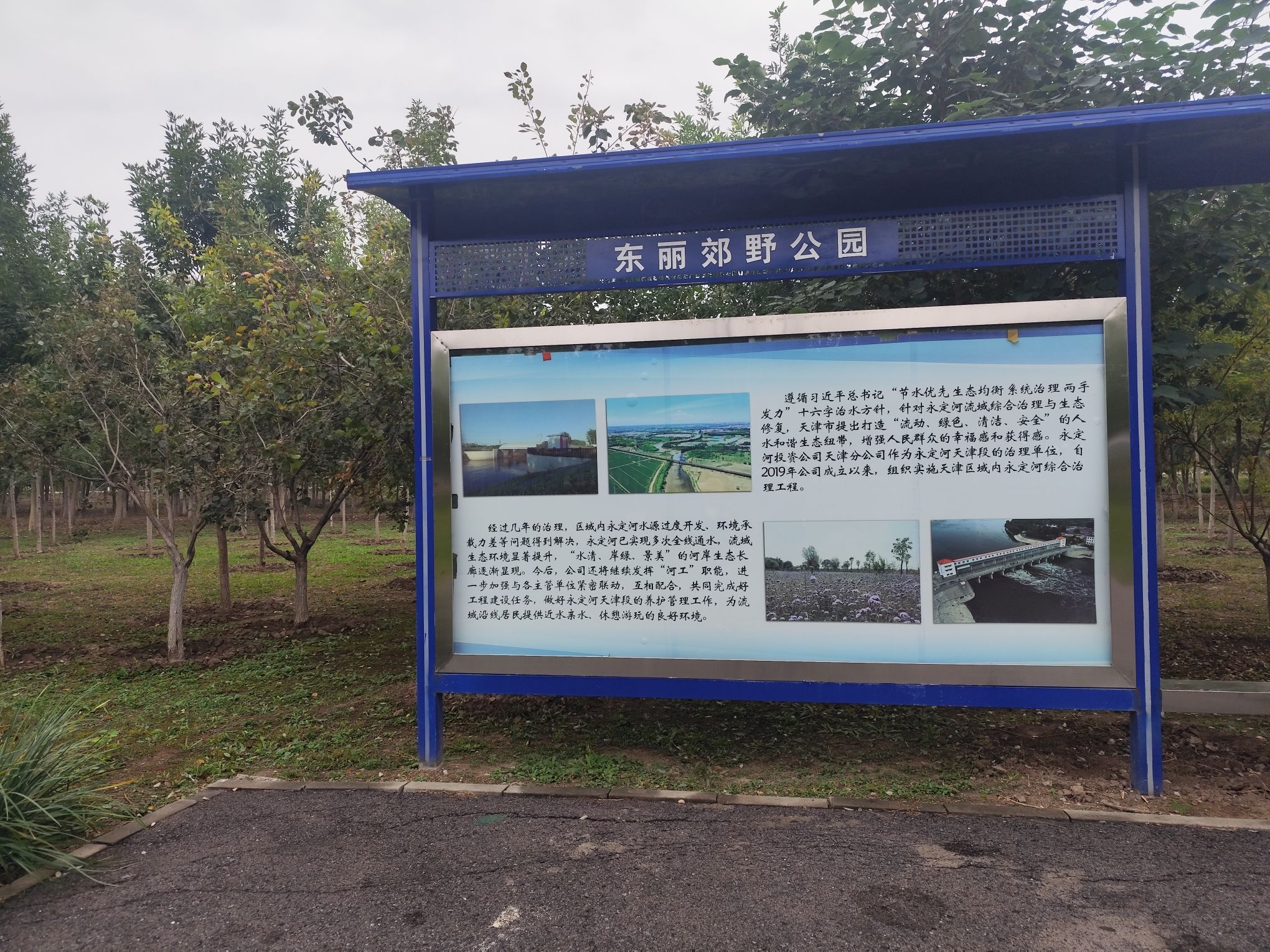 东丽郊野公园旅行图片 1