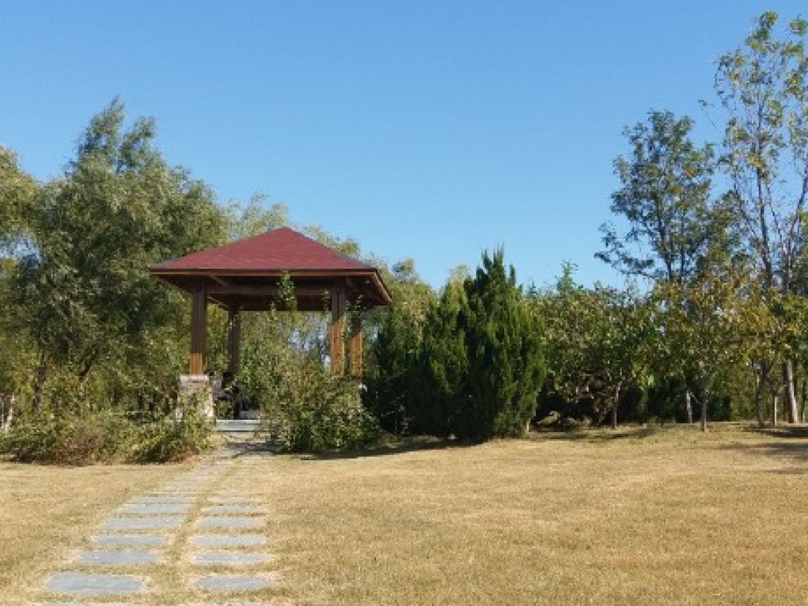 东丽郊野公园旅行图片 1