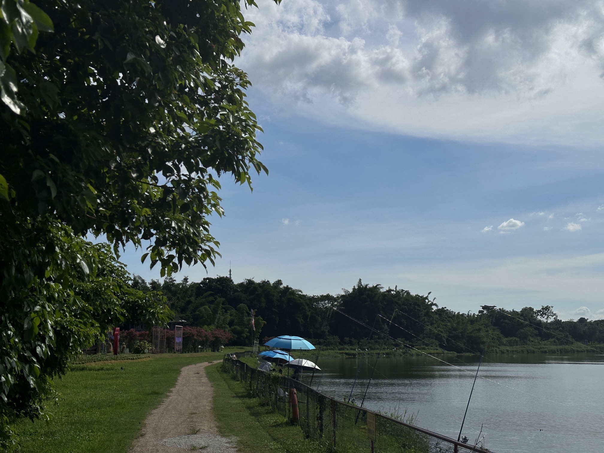 紫溪半岛花海世界旅行图片 2