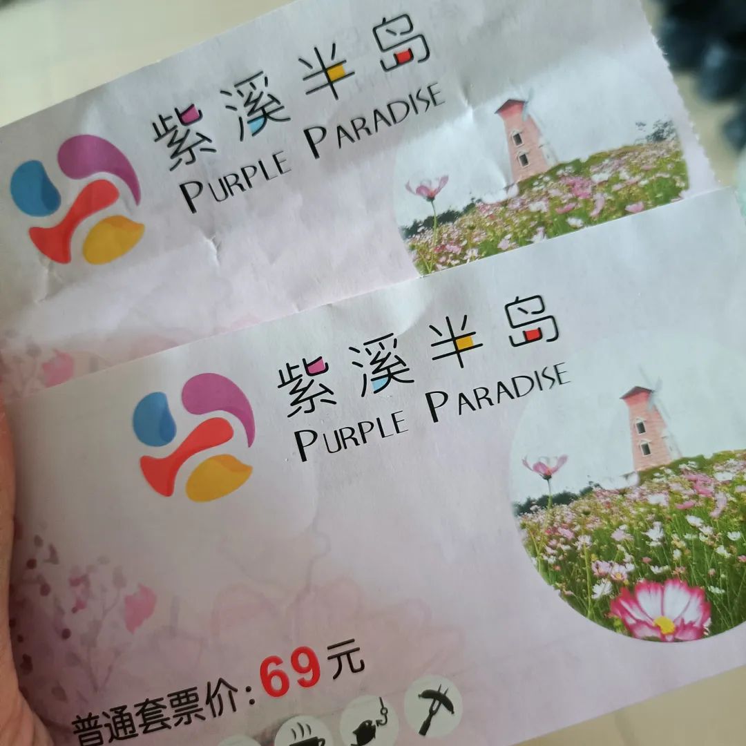 紫溪半岛花海世界旅行图片 1