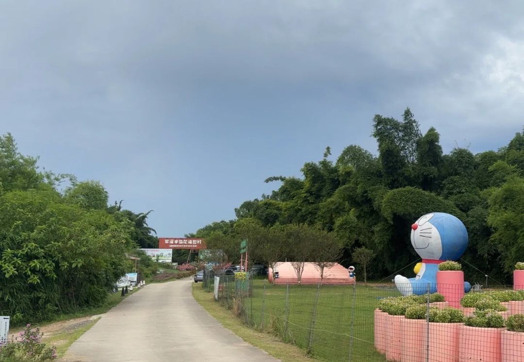 紫溪半岛花海世界旅行图片 2