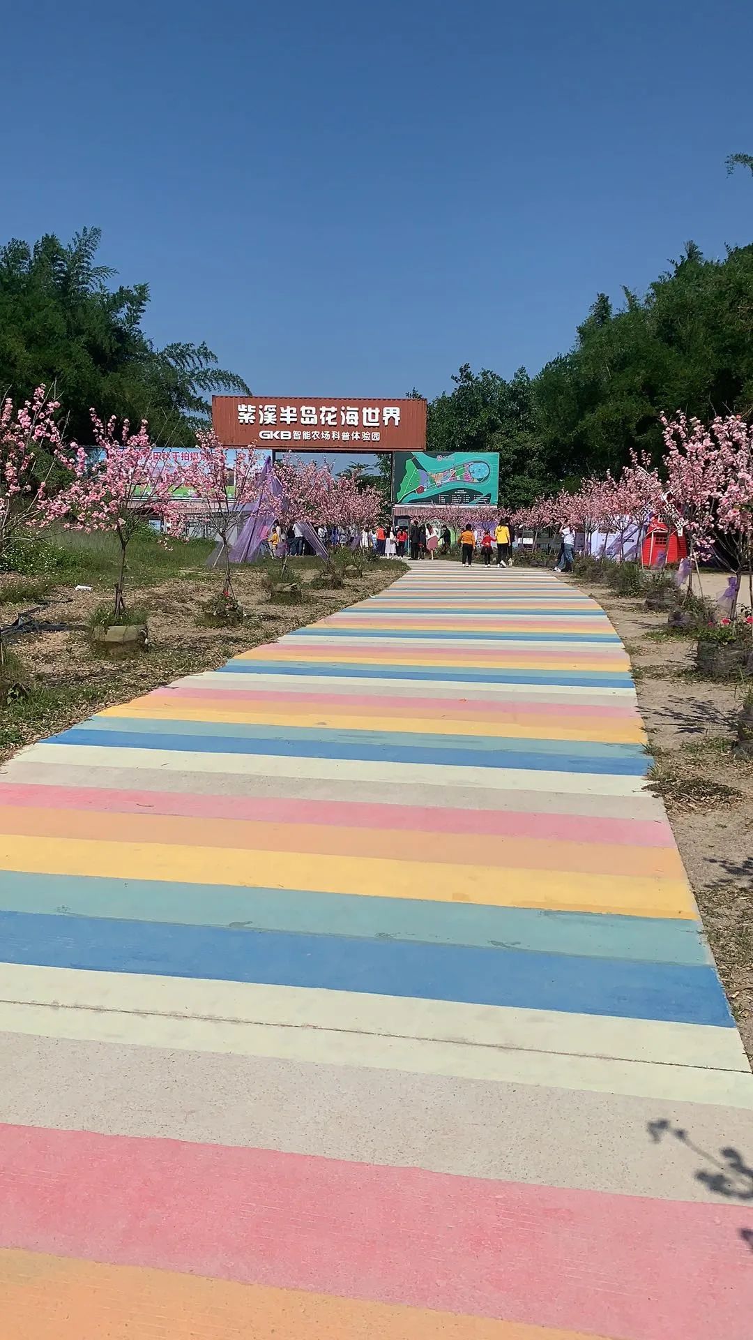 紫溪半岛花海世界旅行图片 2