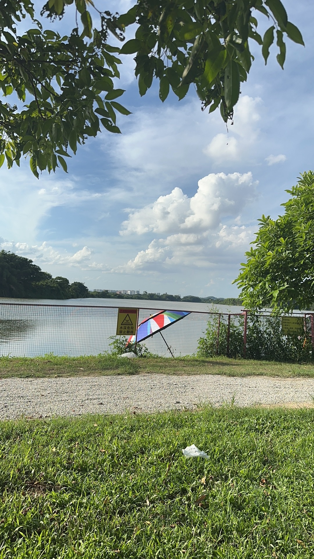 紫溪半岛花海世界旅行图片 1
