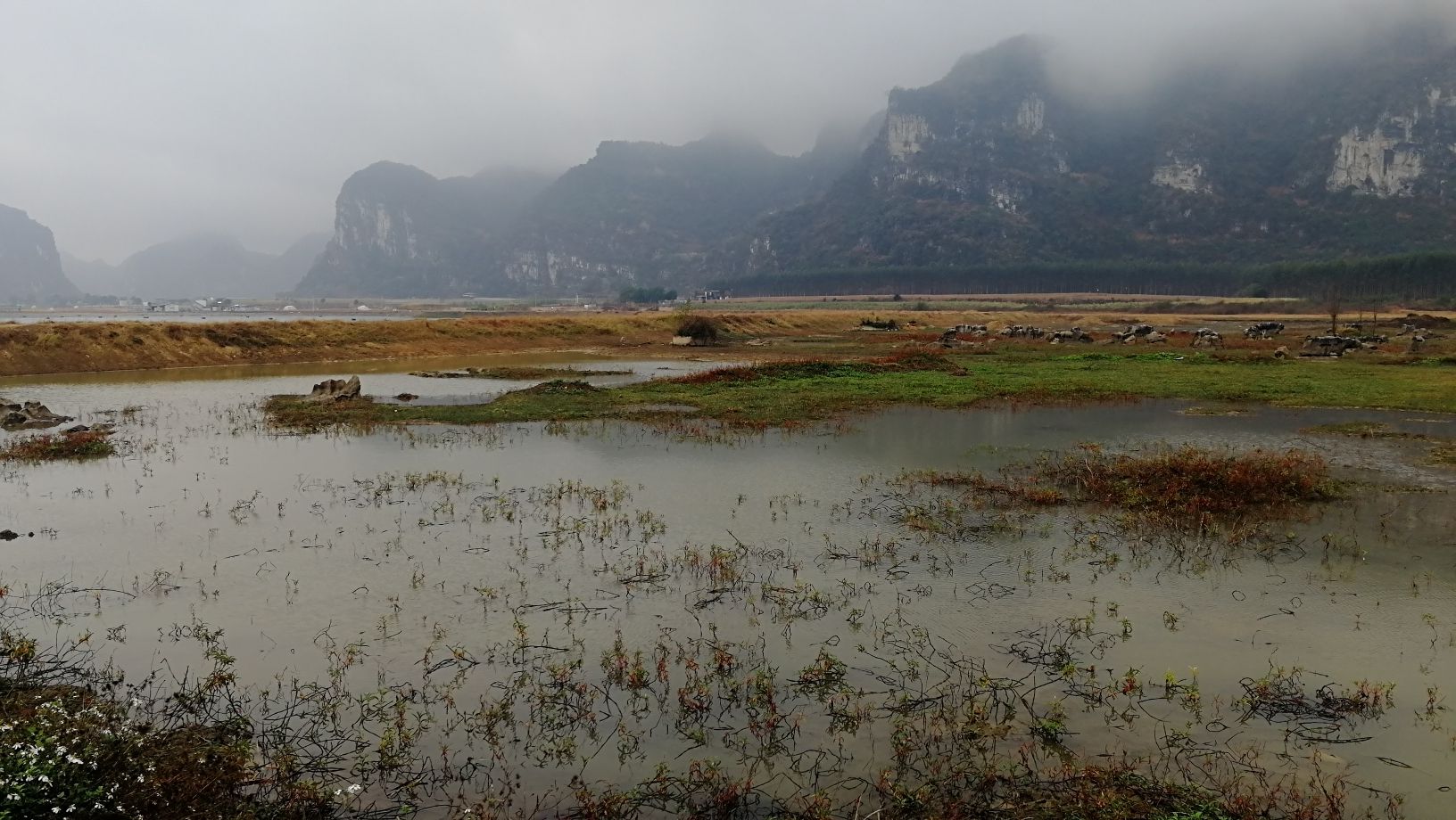 毛塘湿地公园旅行图片 3