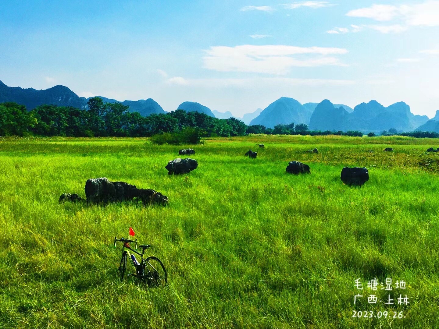 毛塘湿地公园旅行图片 2