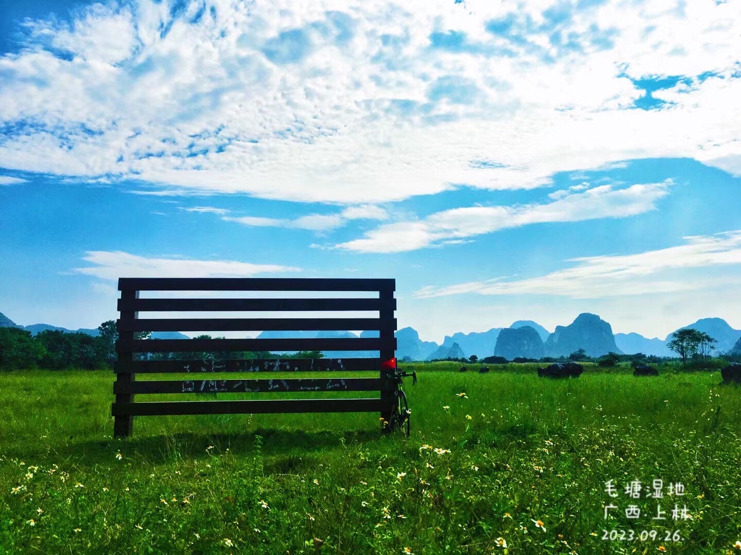 毛塘湿地公园旅行图片 1