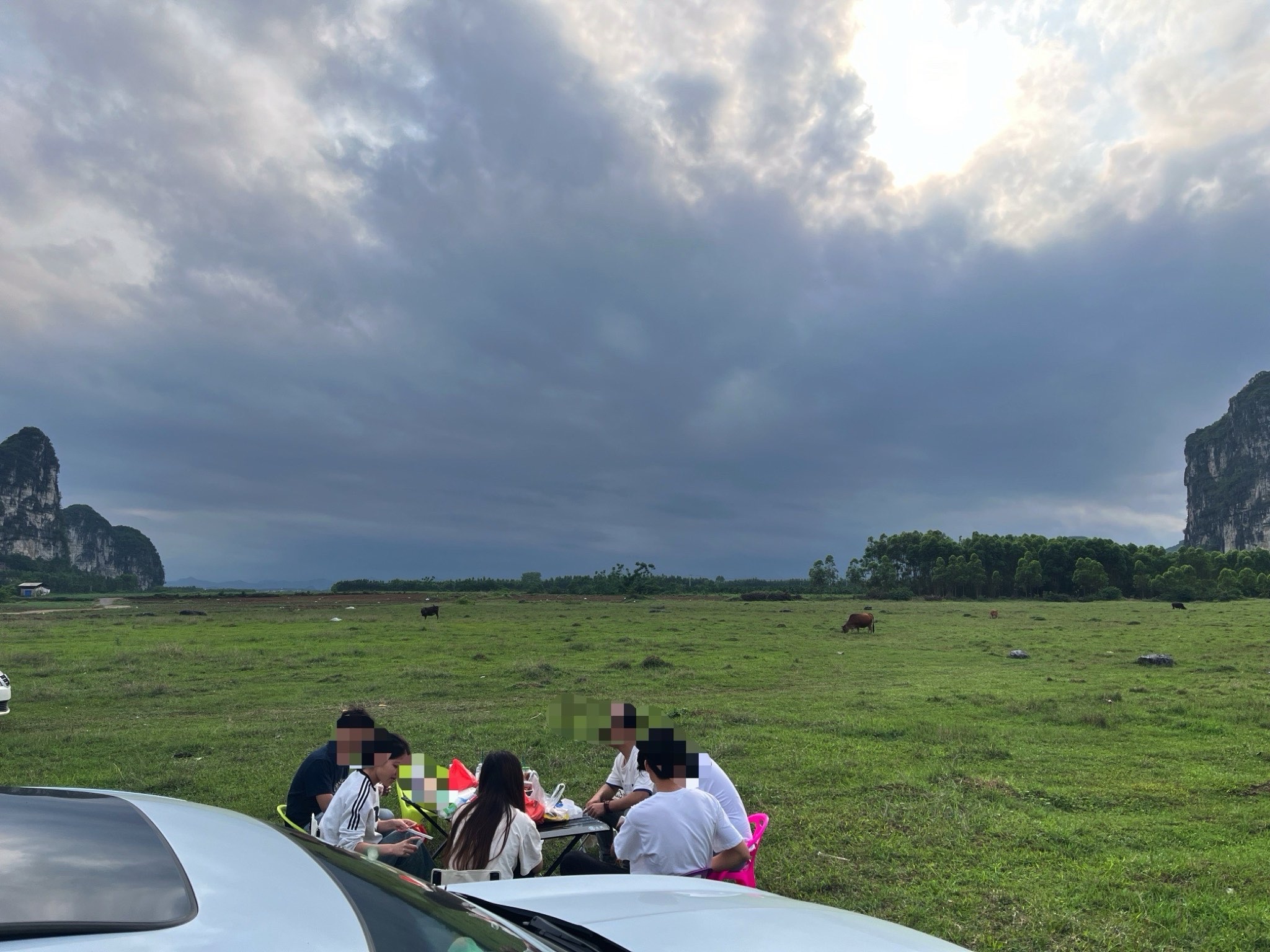 毛塘湿地公园旅行图片 1