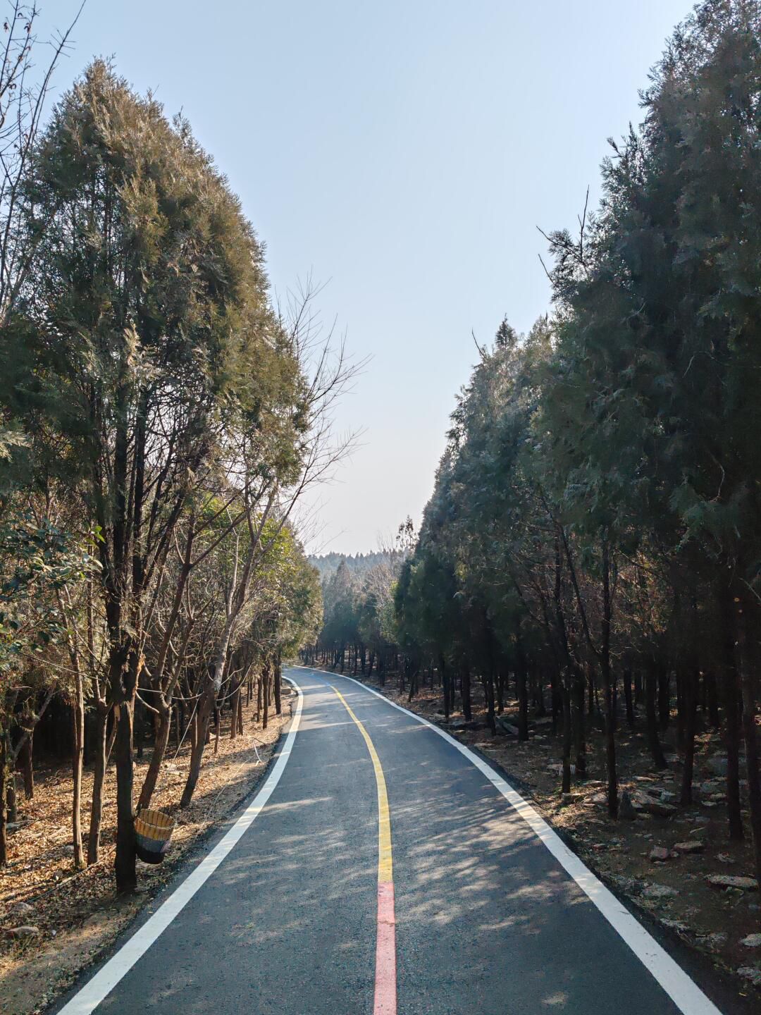 大洞山景区旅行图片 3