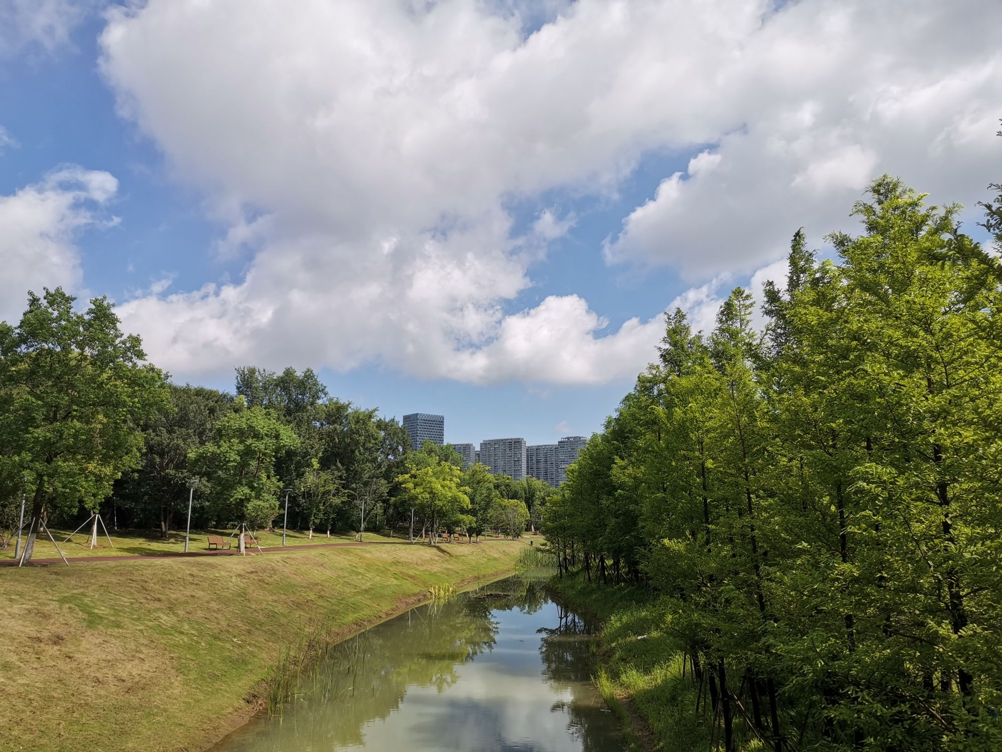 五龙山旅行图片 3