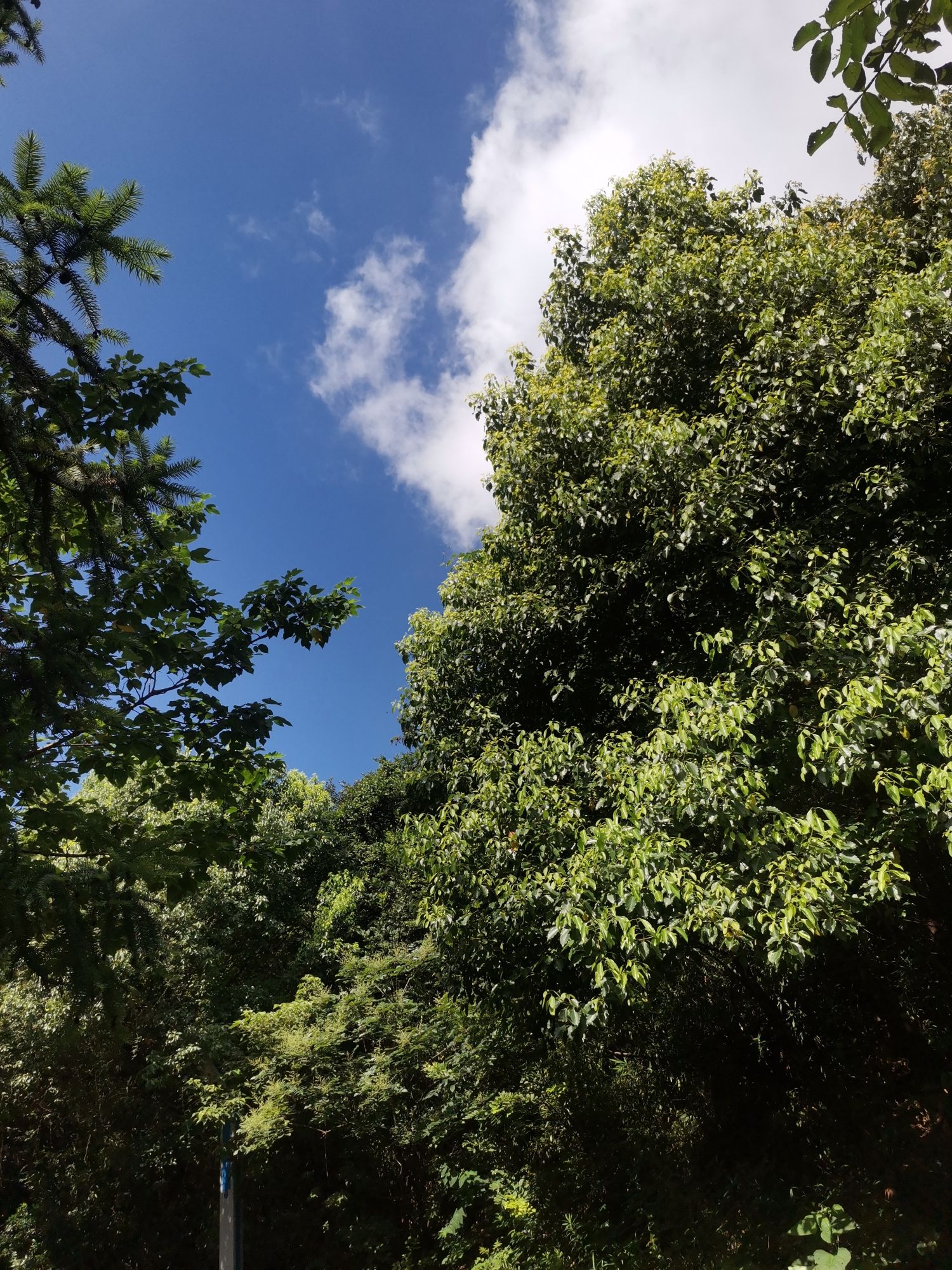 五龙山旅行图片 2