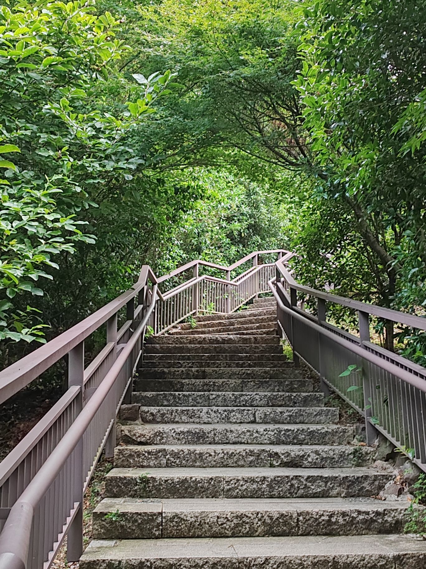 五龙山旅行图片 3