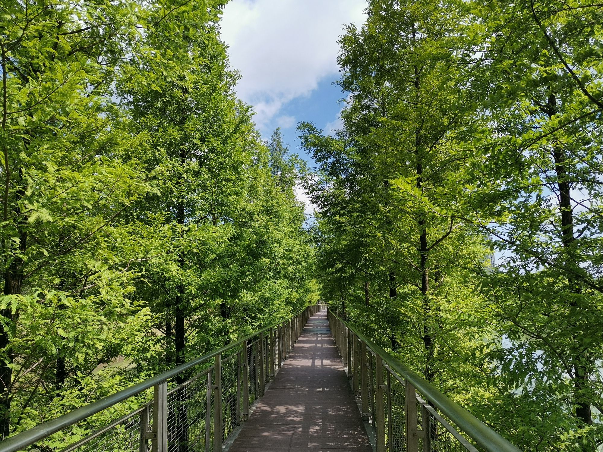 五龙山旅行图片 1