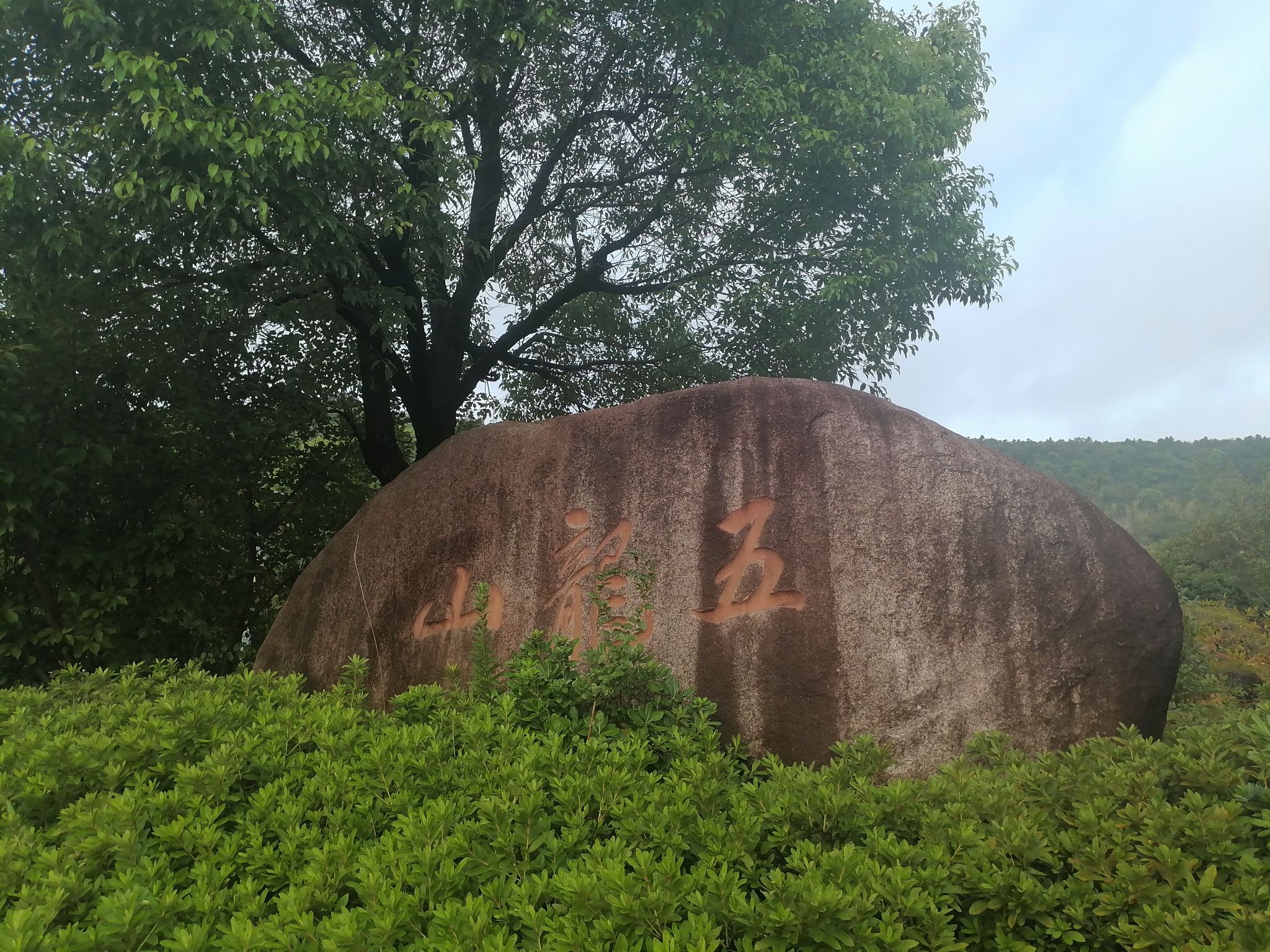 五龙山旅行图片 1