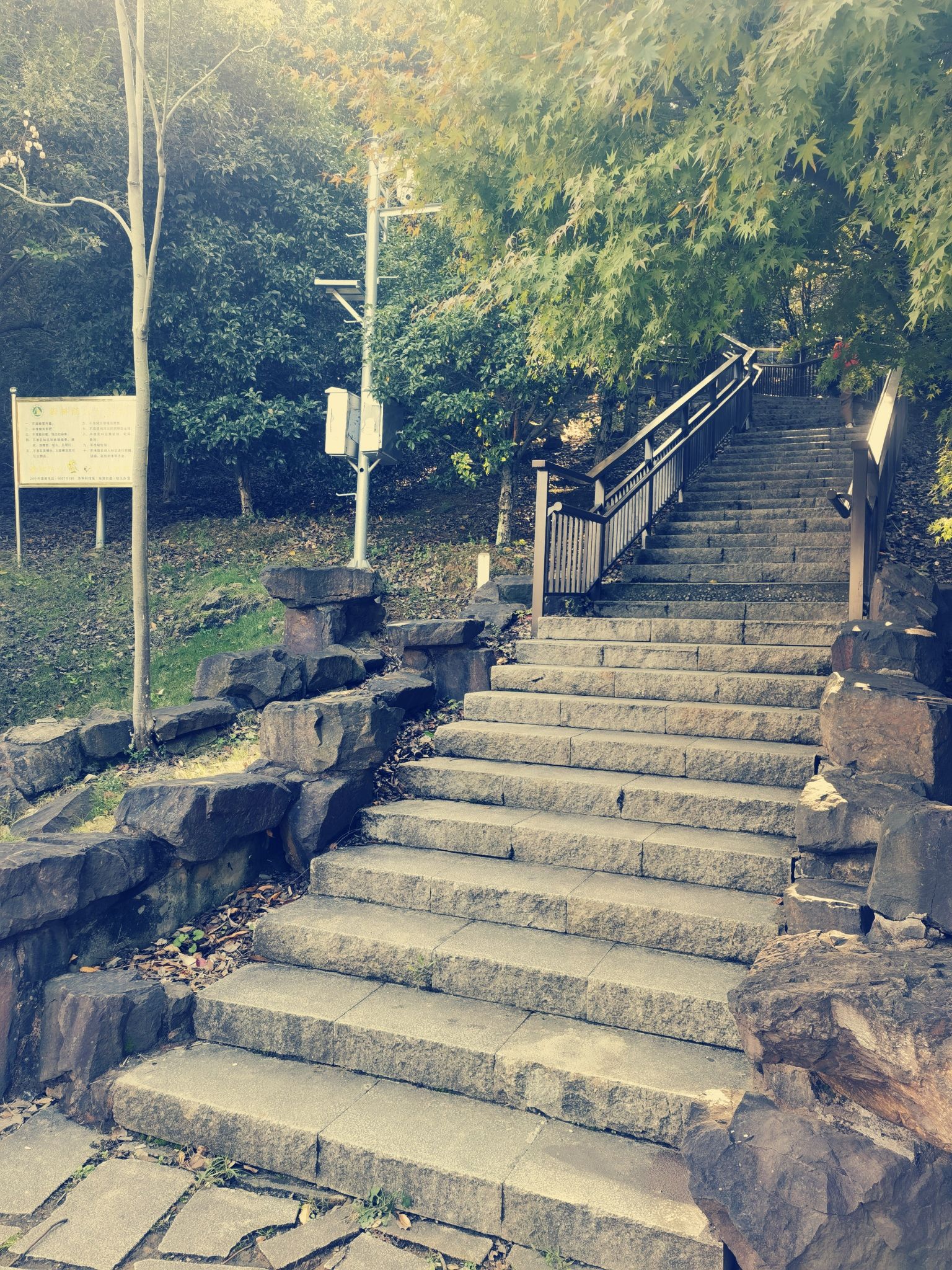 五龙山旅行图片 1