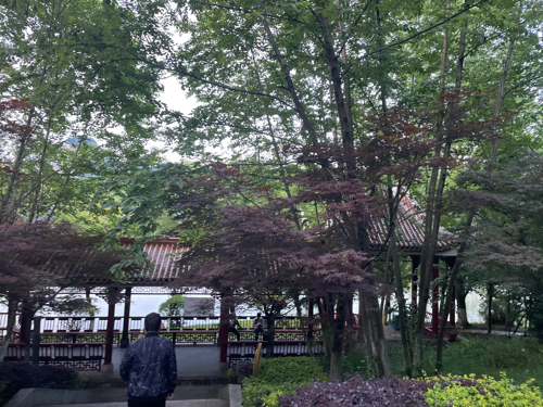 德湖旅行图片 1