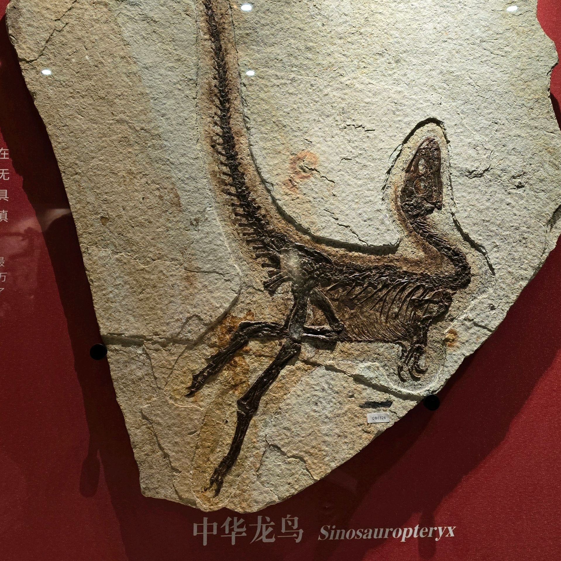 朝阳化石谷旅行图片 3
