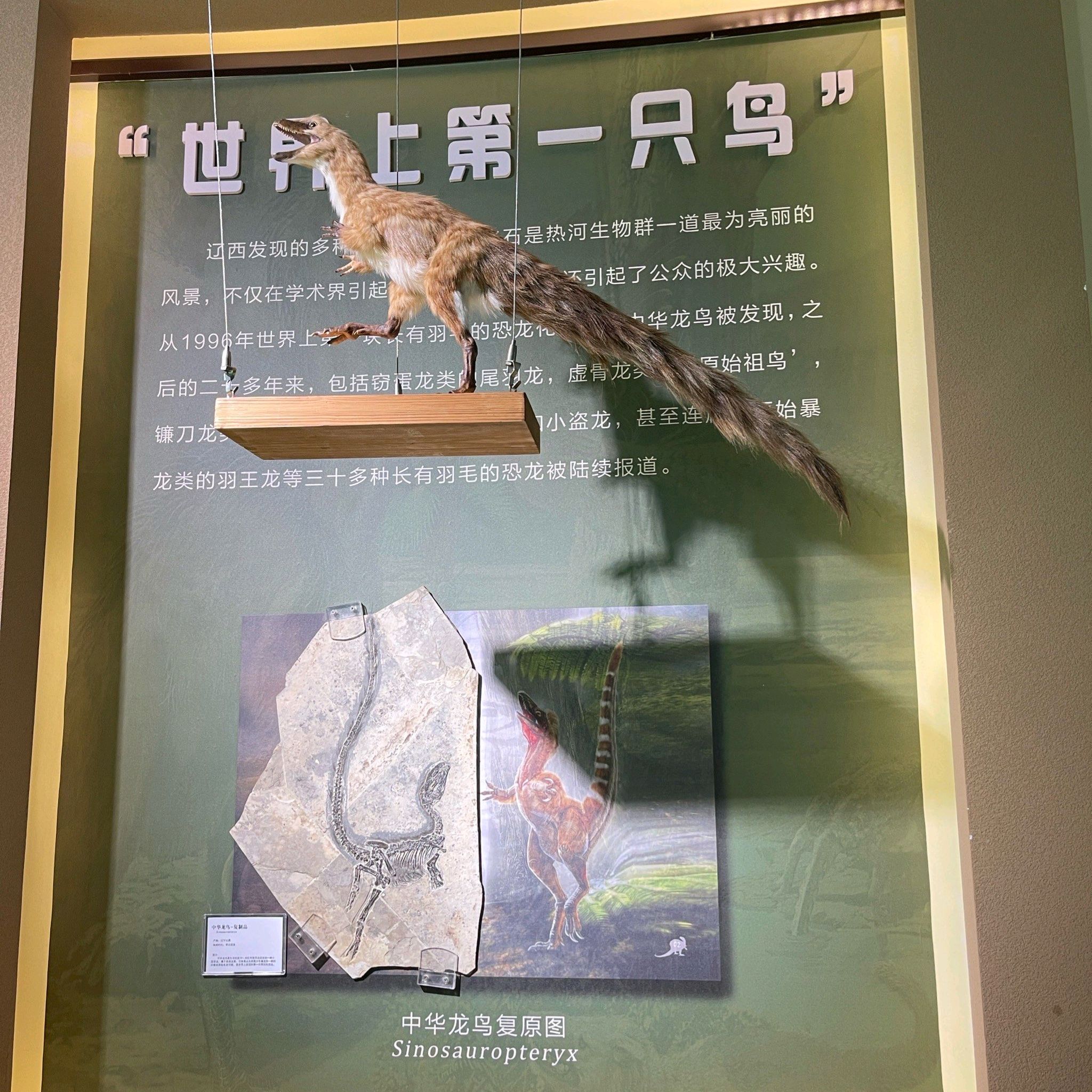 朝阳化石谷旅行图片 1