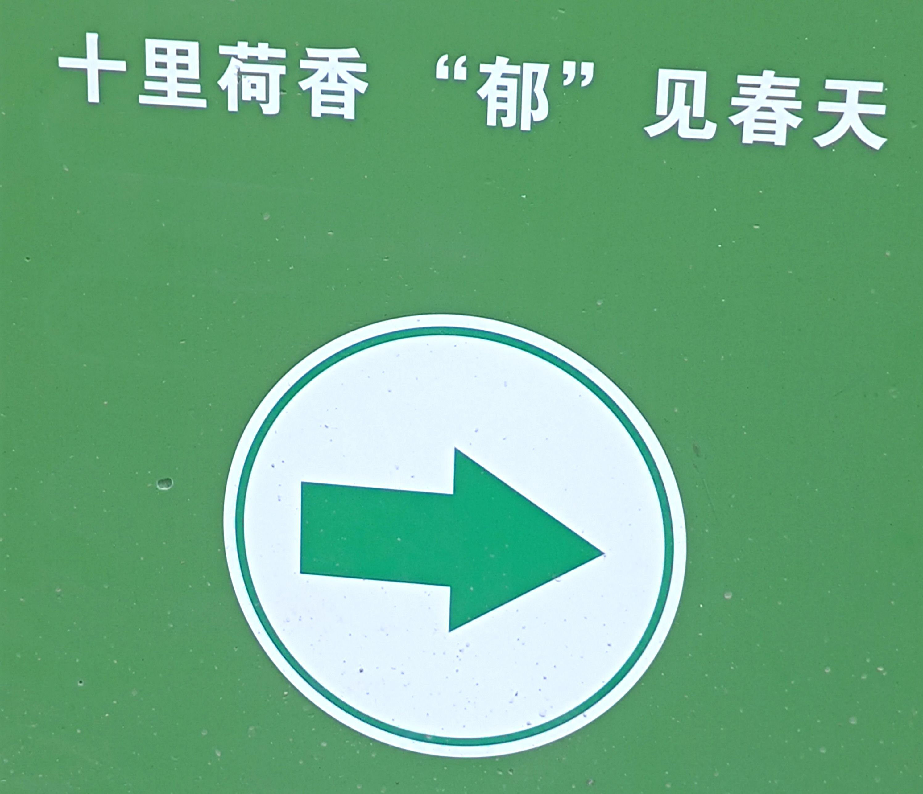 十里荷香旅行图片 1