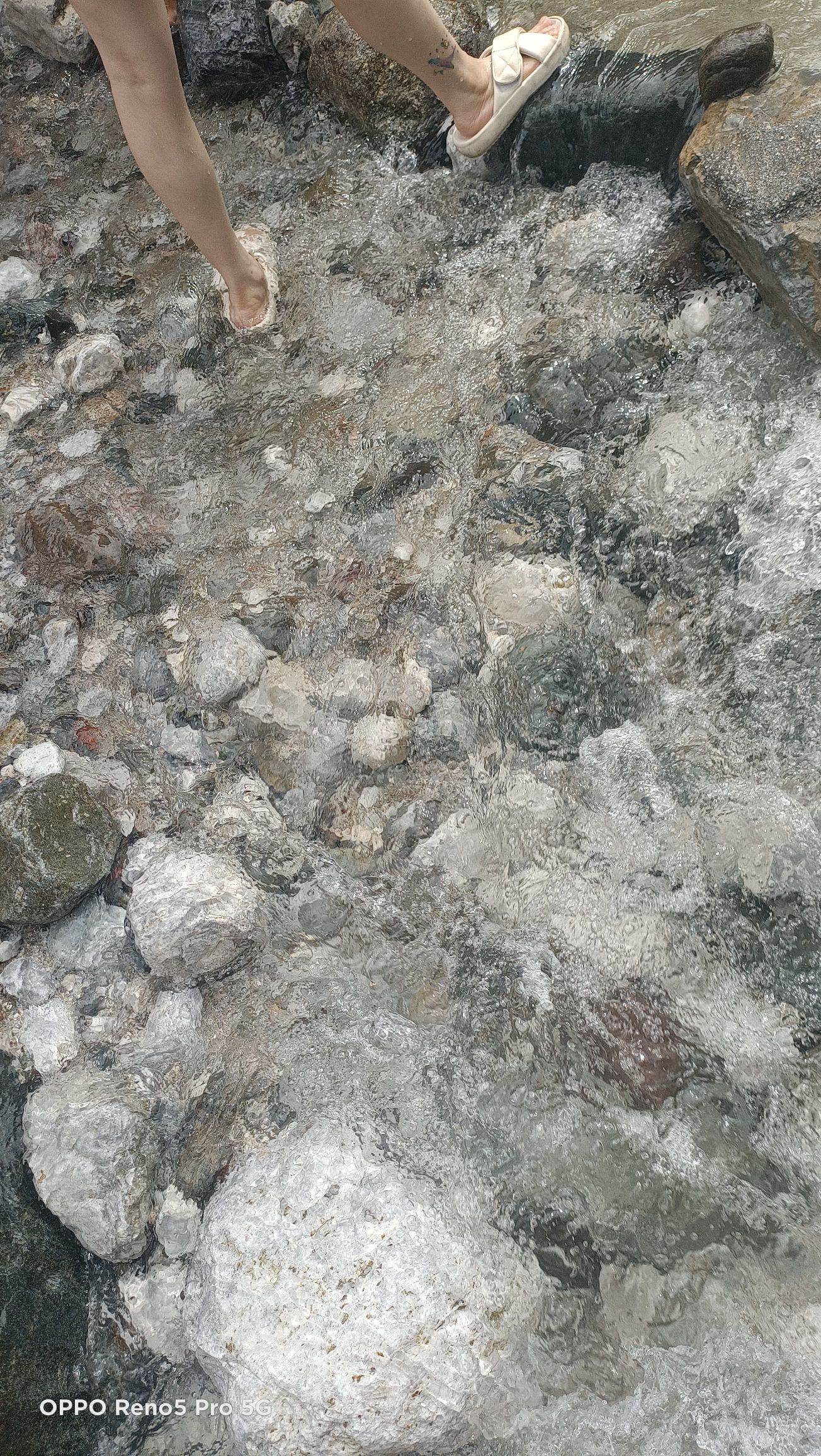 农夫山泉峨眉山工业旅游示范基地旅行图片 3