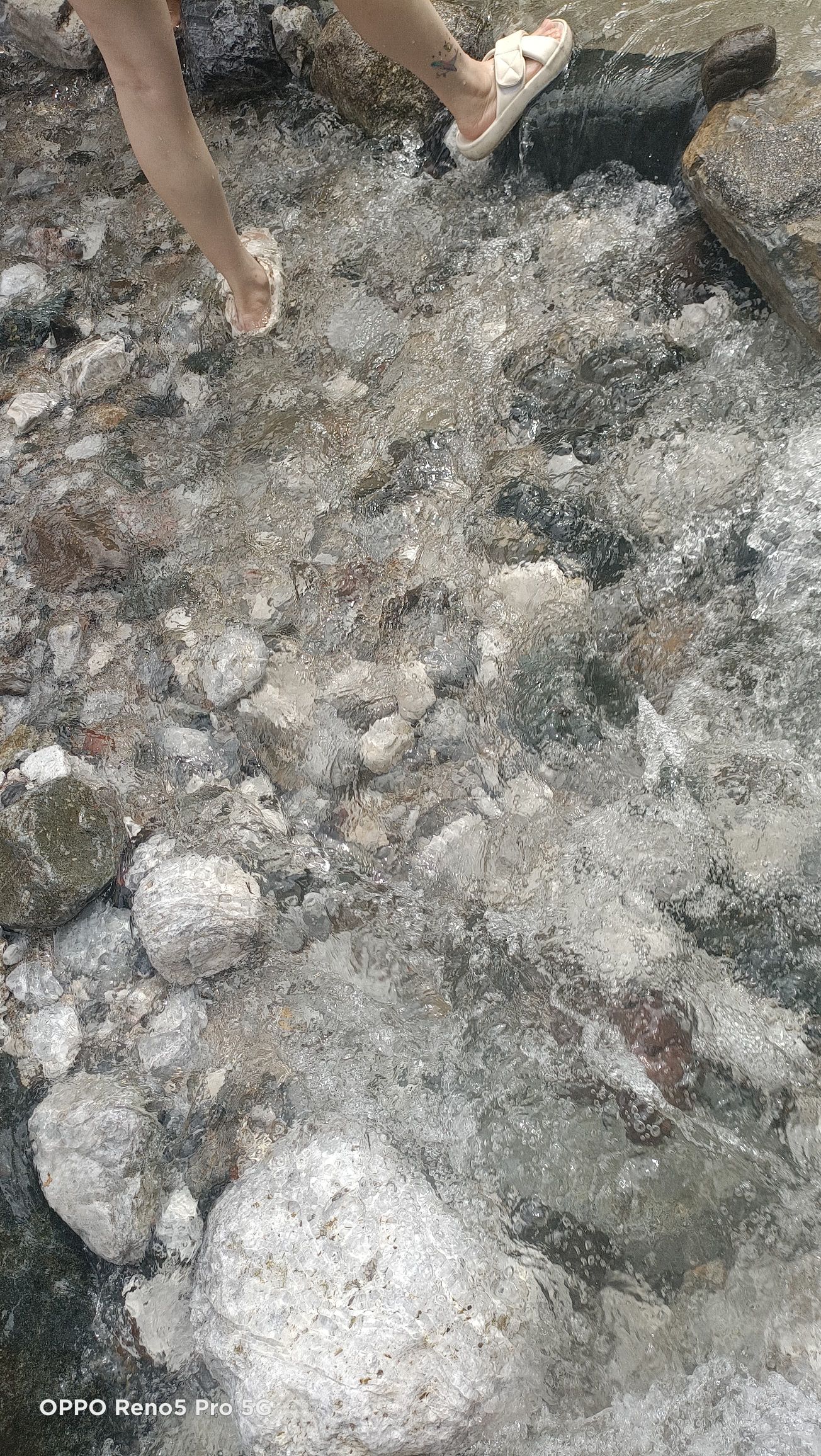 农夫山泉峨眉山工业旅游示范基地旅行图片 2
