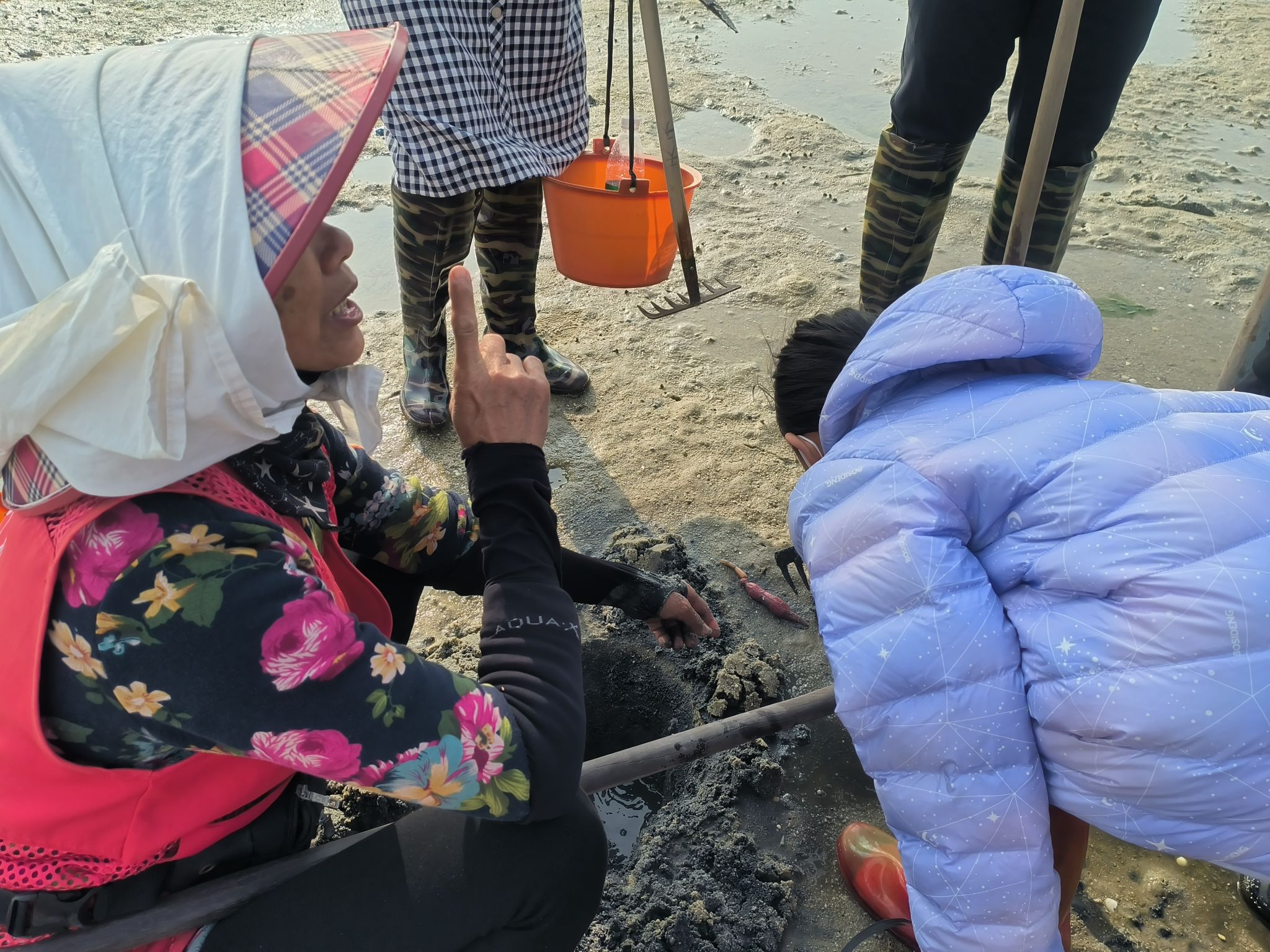 红树林天天赶海旅行图片 3