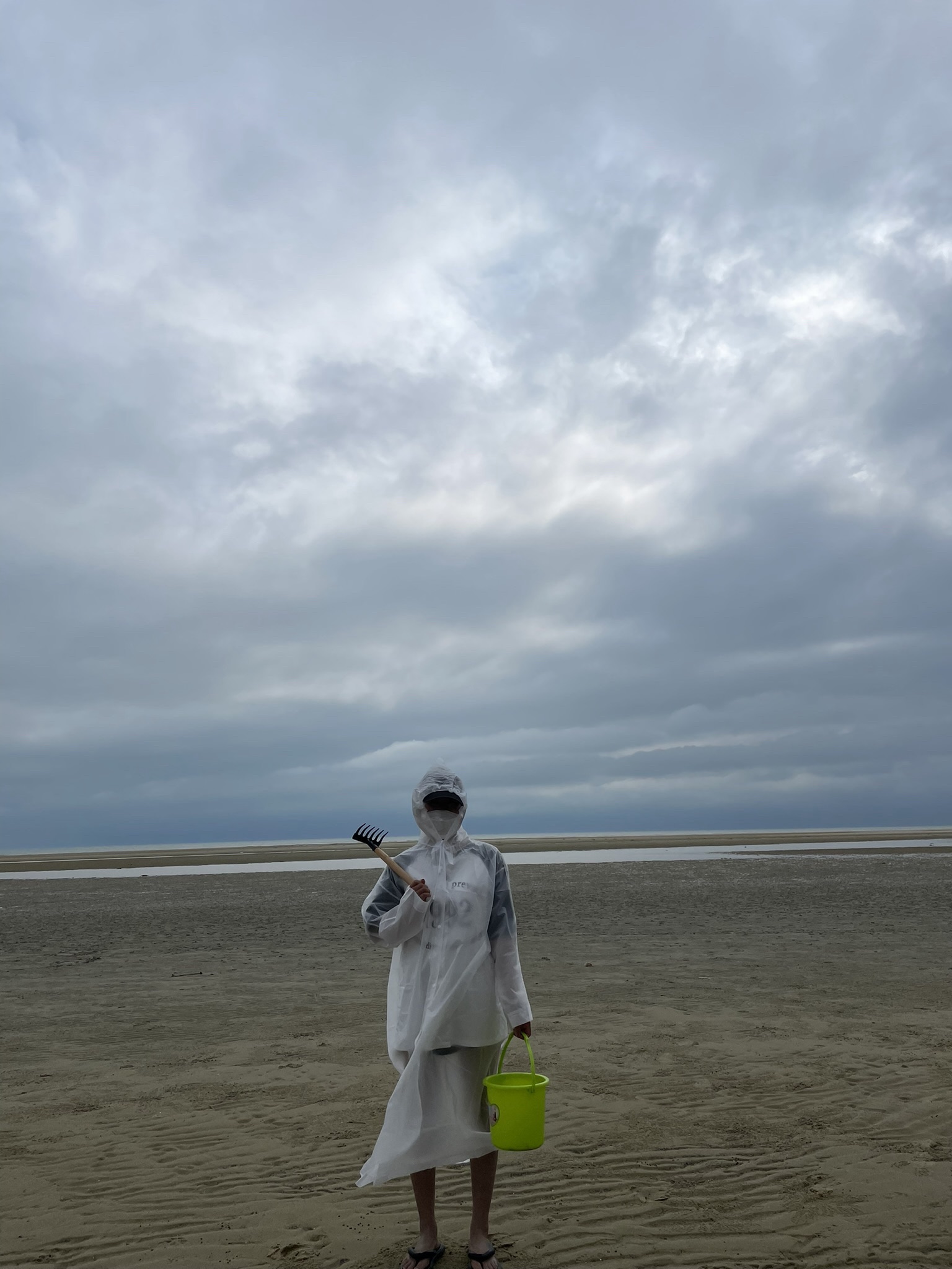 红树林天天赶海旅行图片 1
