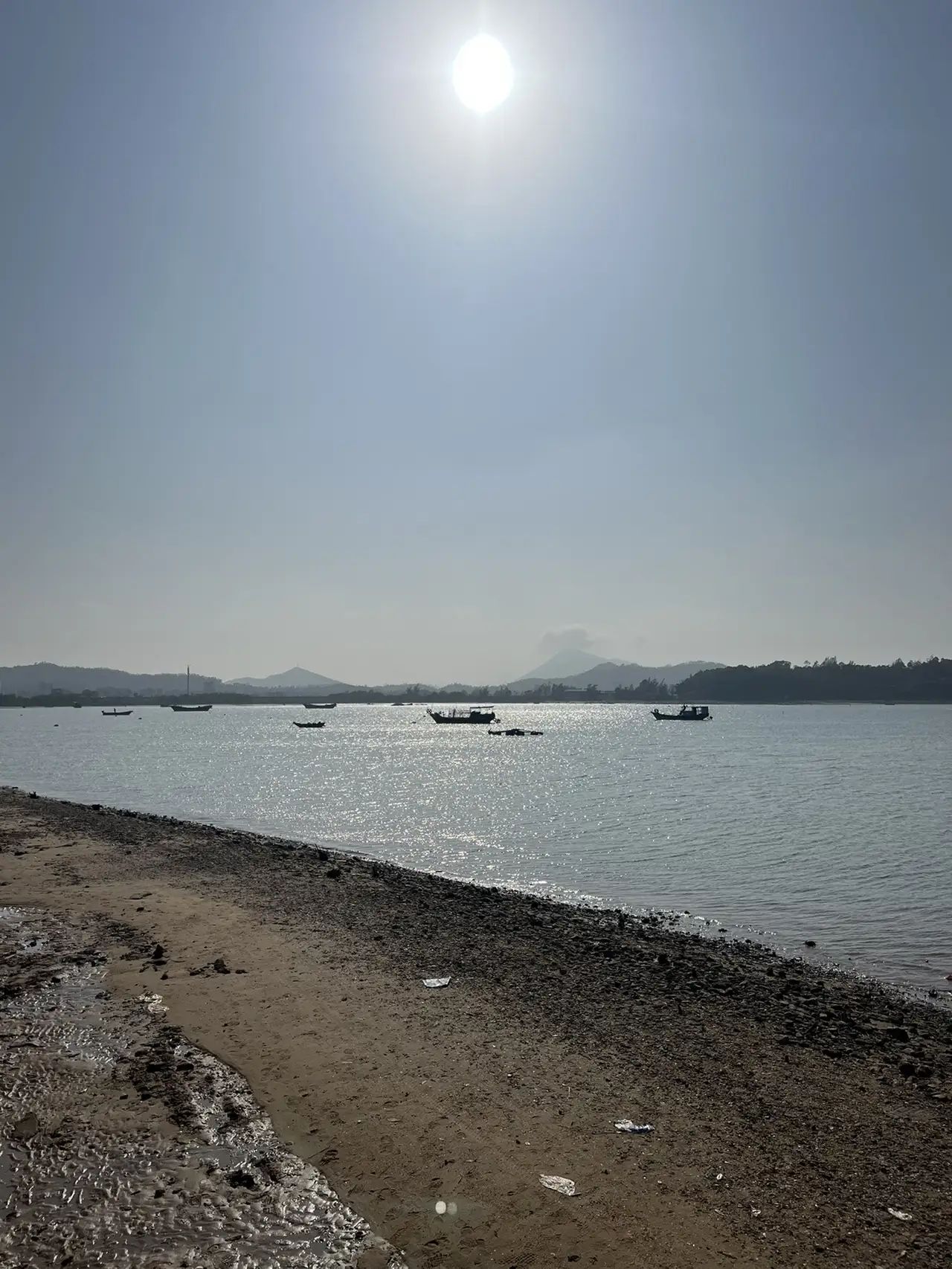 红树林天天赶海旅行图片 2