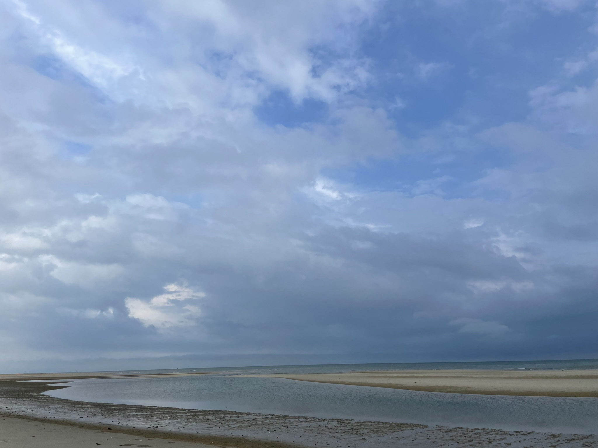 红树林天天赶海旅行图片 2