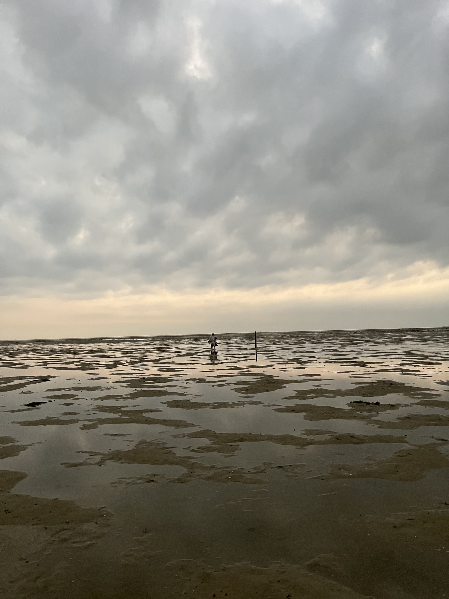 红树林天天赶海旅行图片 3