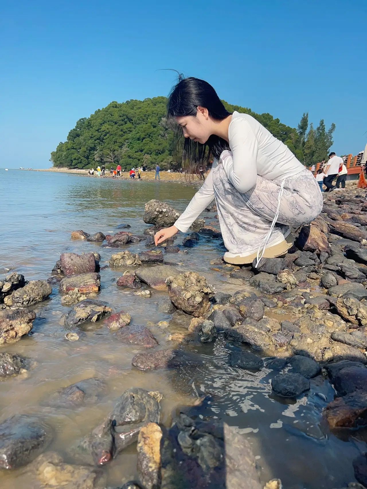 红树林天天赶海旅行图片 3