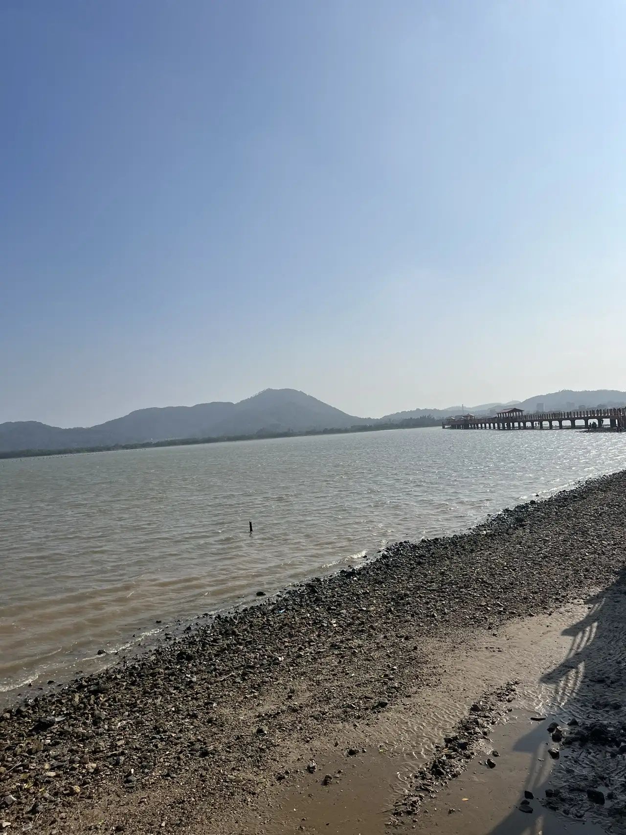 红树林天天赶海旅行图片 1