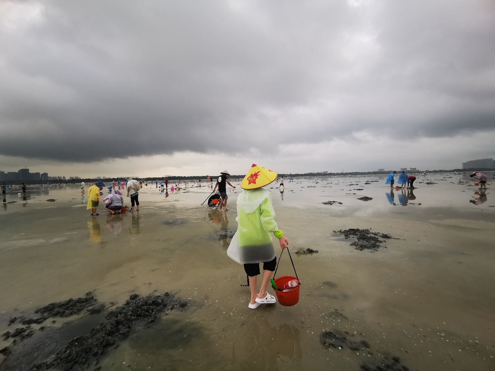 红树林天天赶海旅行图片 3