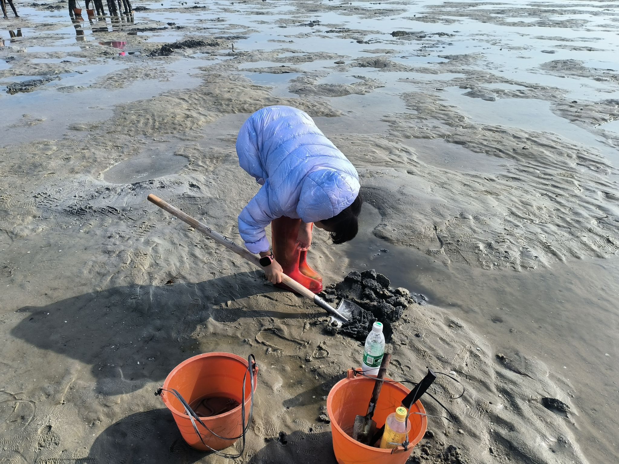 红树林天天赶海旅行图片 1