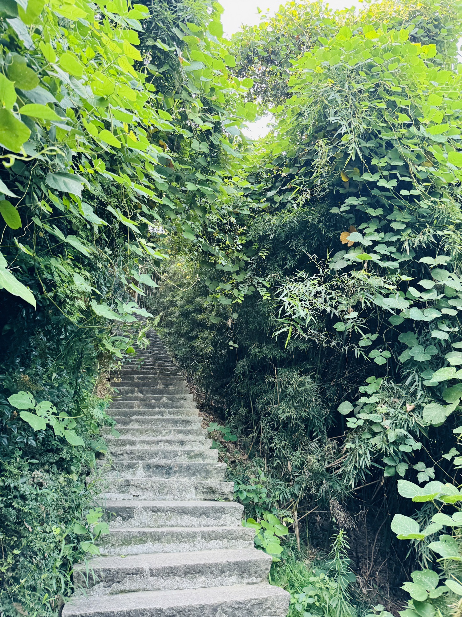 西津渡历史文化街区旅行图片 3