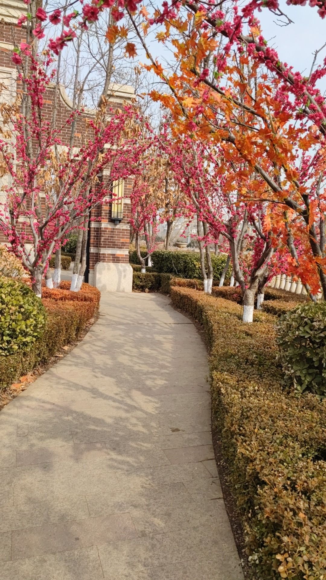 滨河公园旅行图片 3