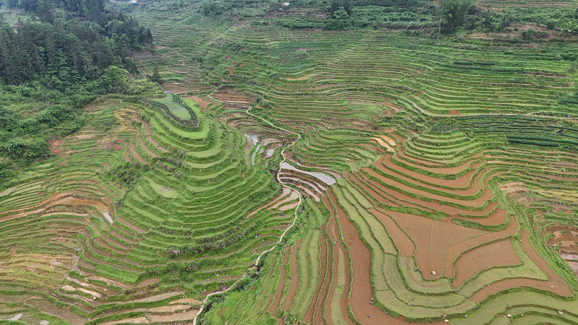 巴泽梯田旅行图片 2