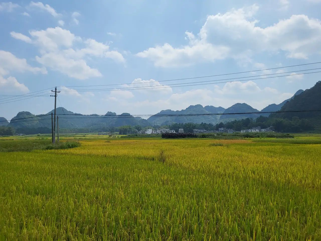 巴泽梯田旅行图片 3