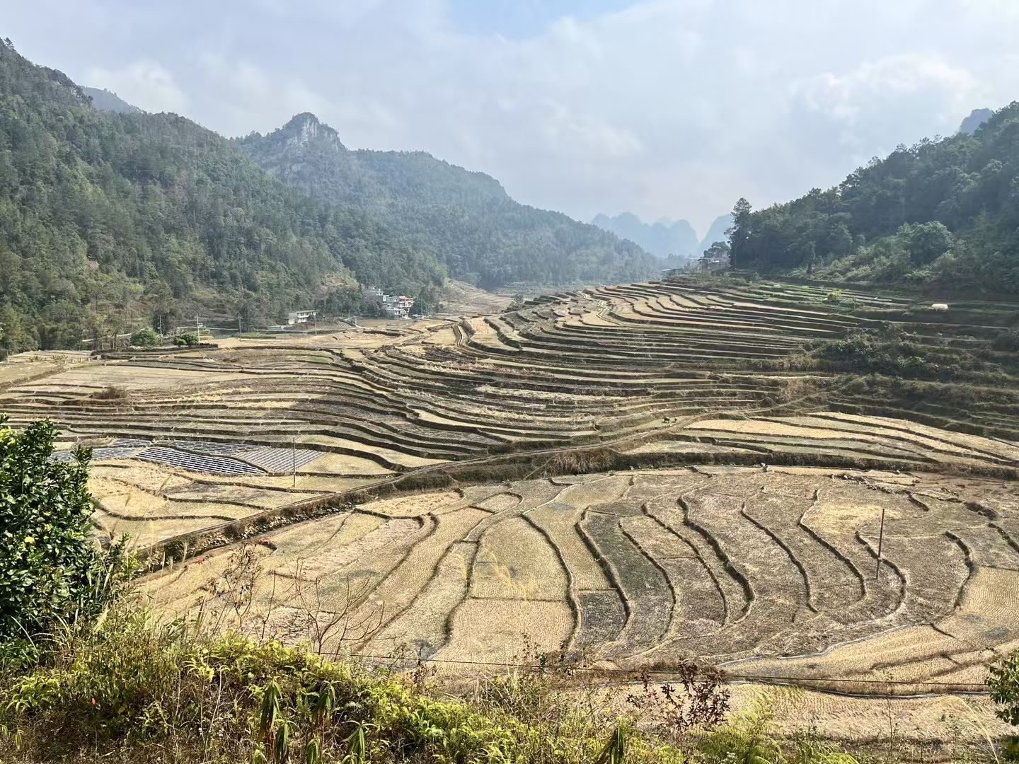 巴泽梯田旅行图片 2