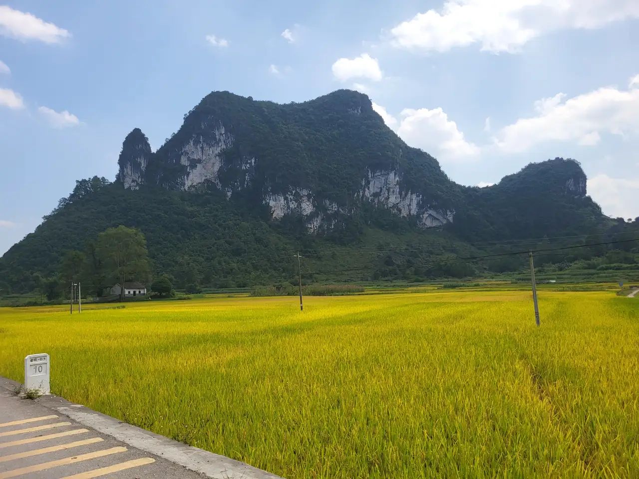 巴泽梯田旅行图片 2