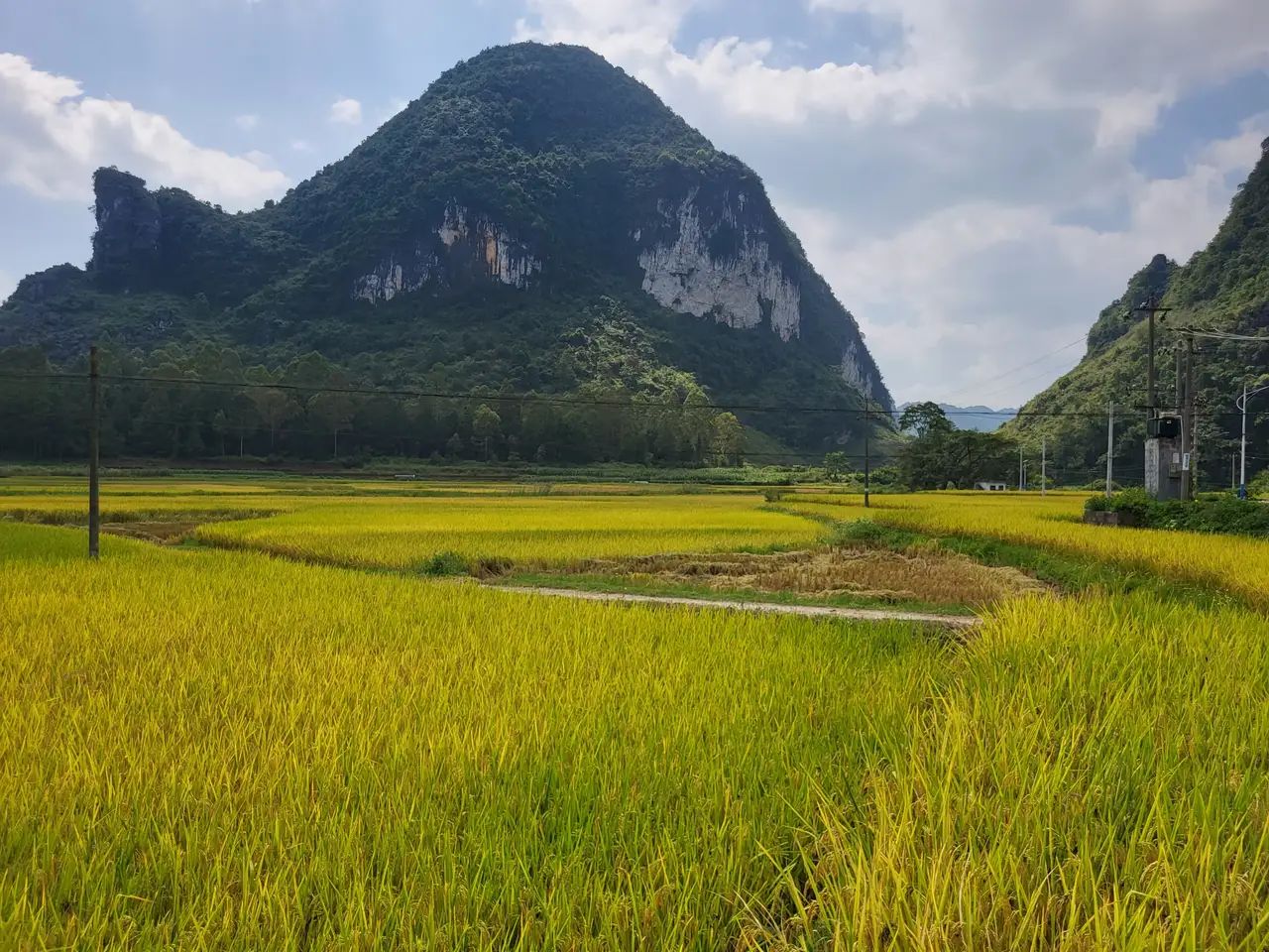 巴泽梯田旅行图片 1