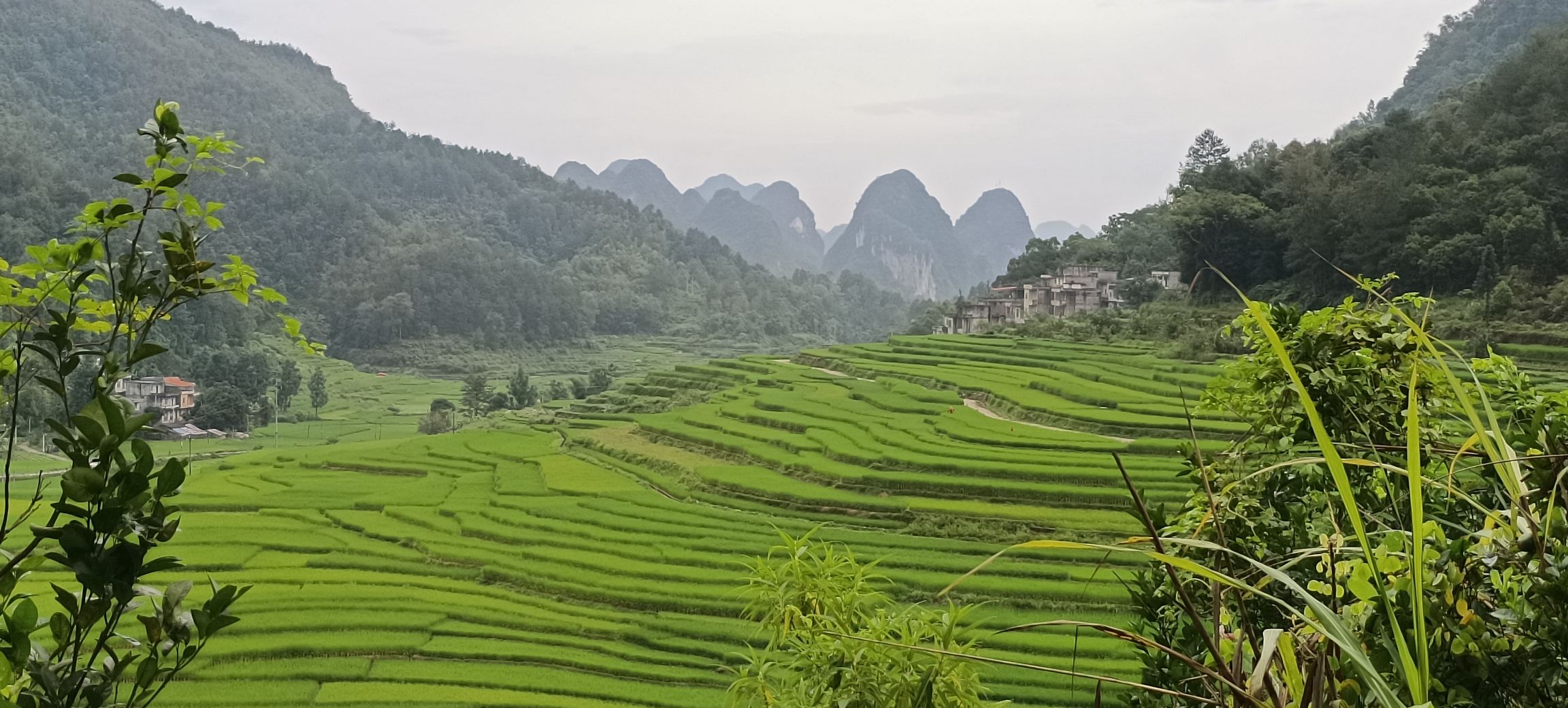 巴泽梯田旅行图片 1