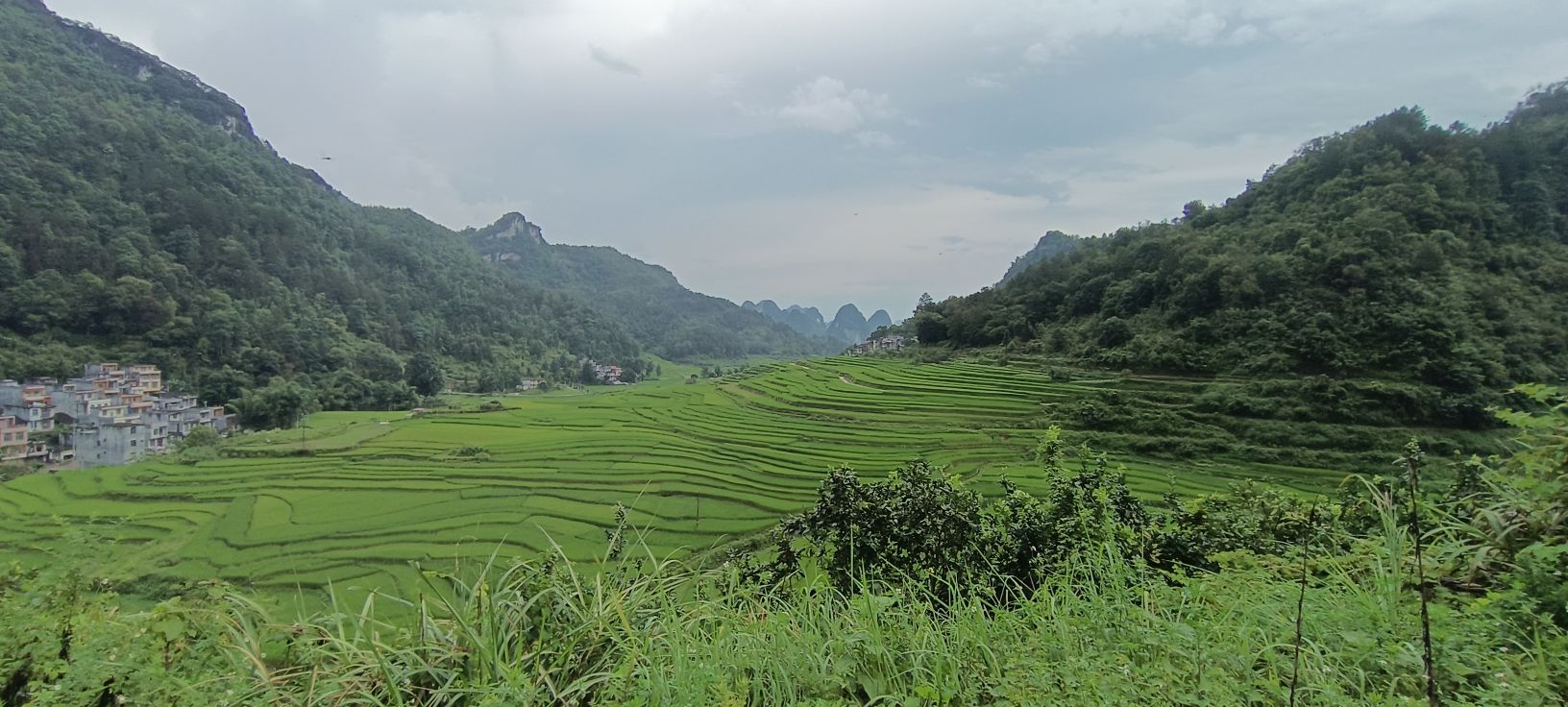巴泽梯田旅行图片 2