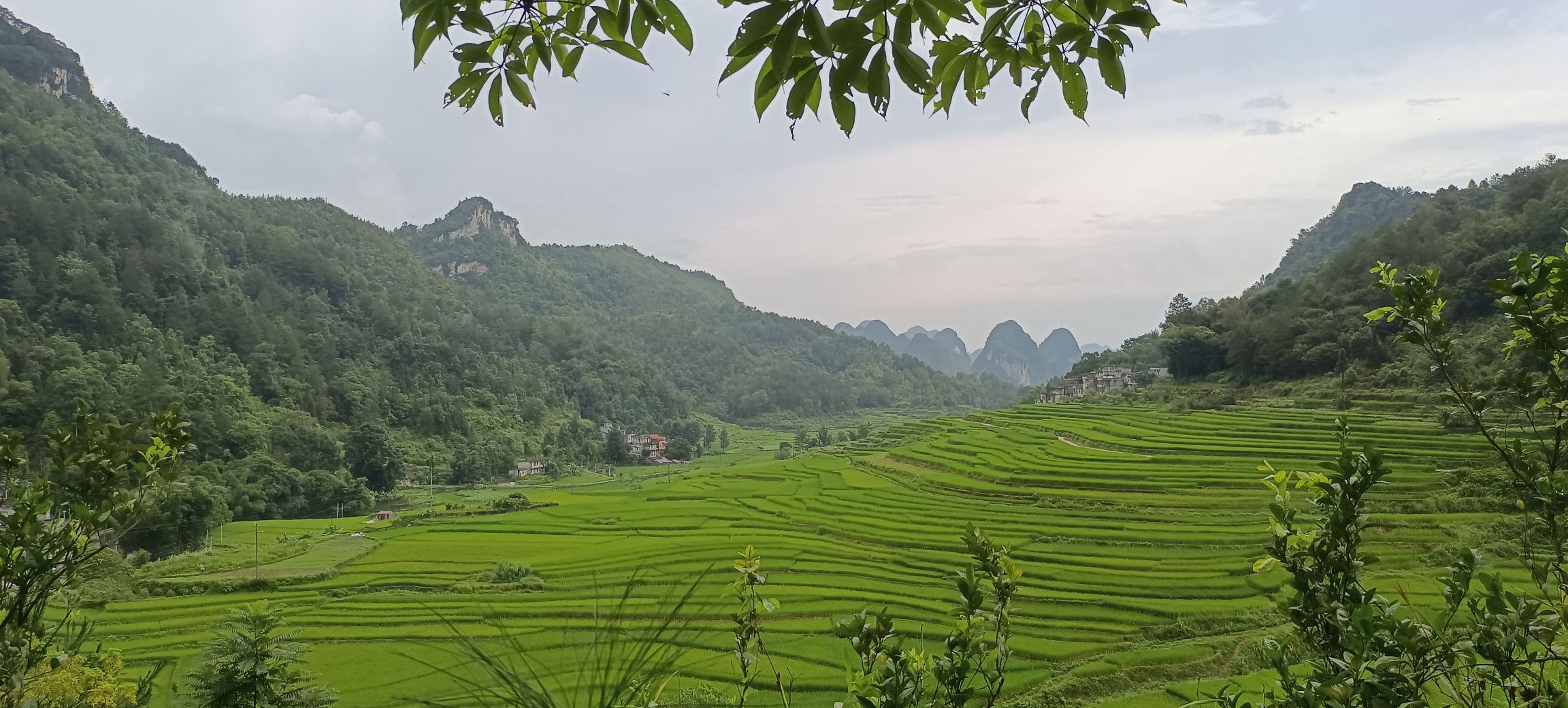 巴泽梯田旅行图片 3