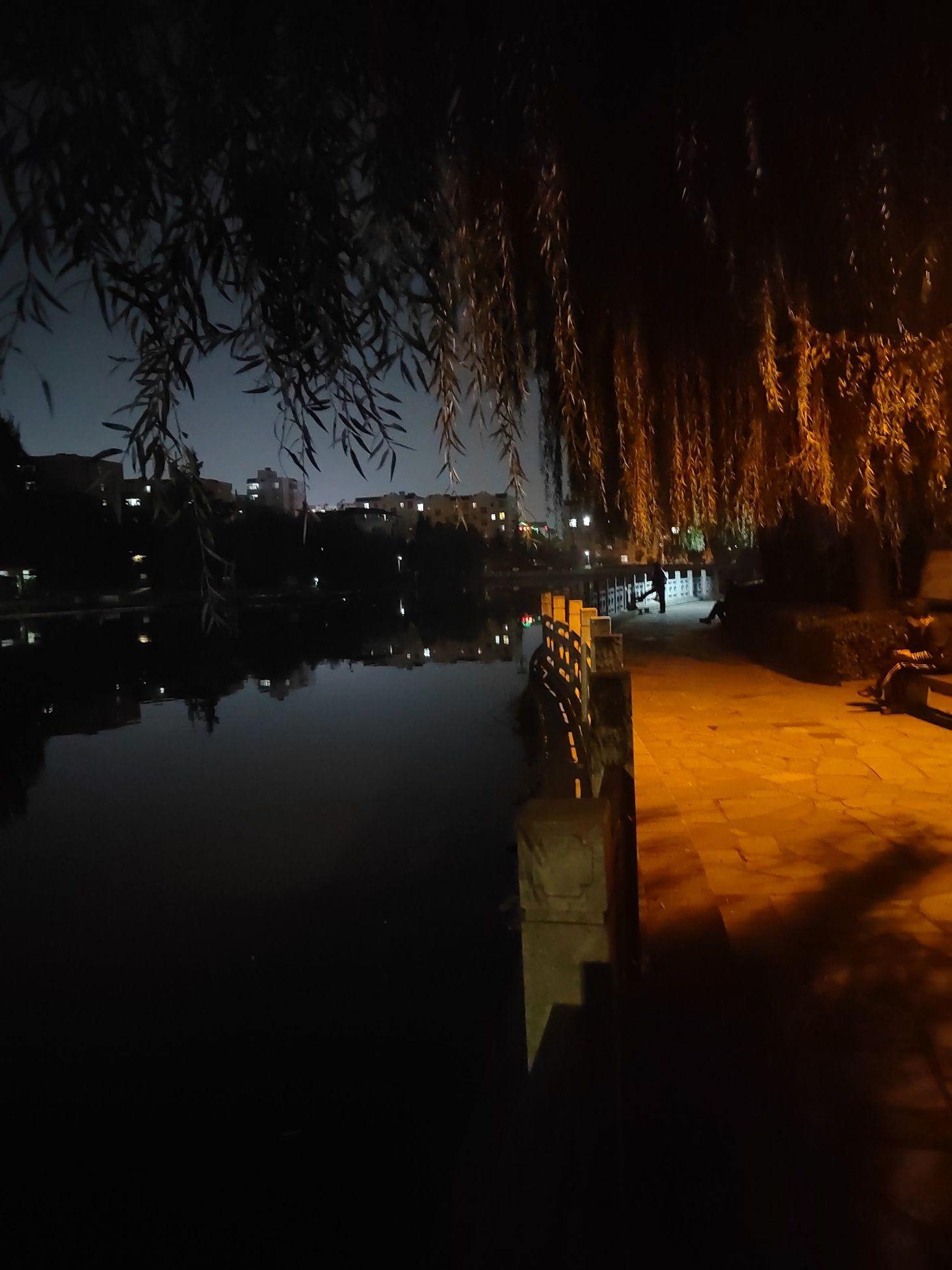 水上公园旅行图片 2