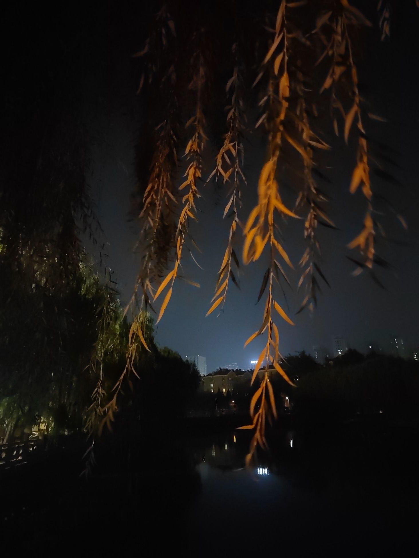 水上公园旅行图片 3