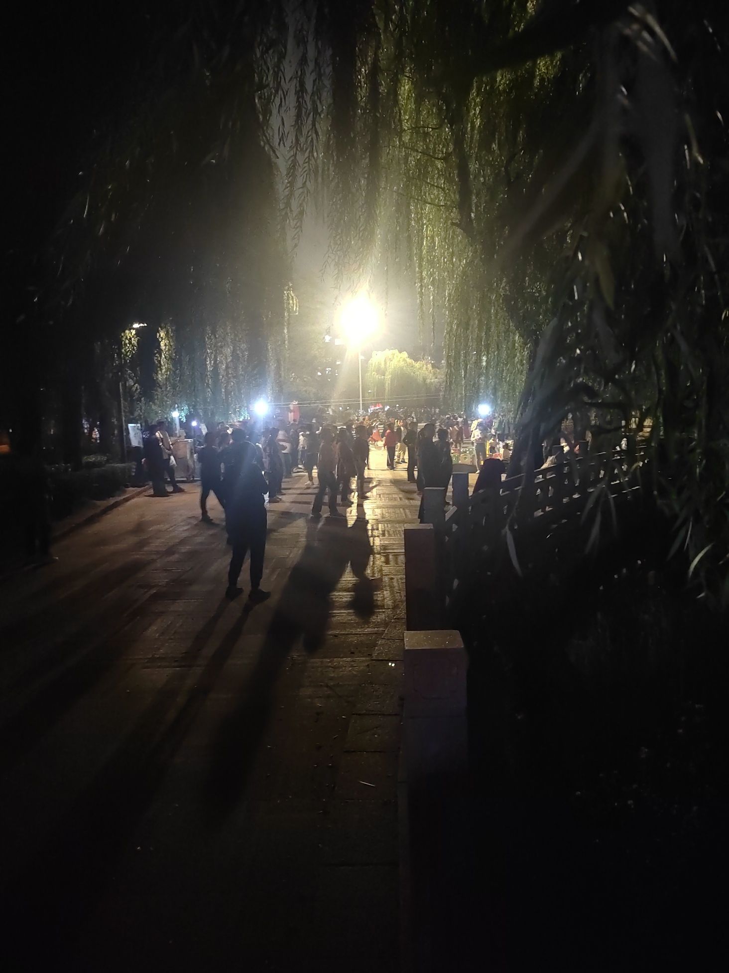水上公园旅行图片 1