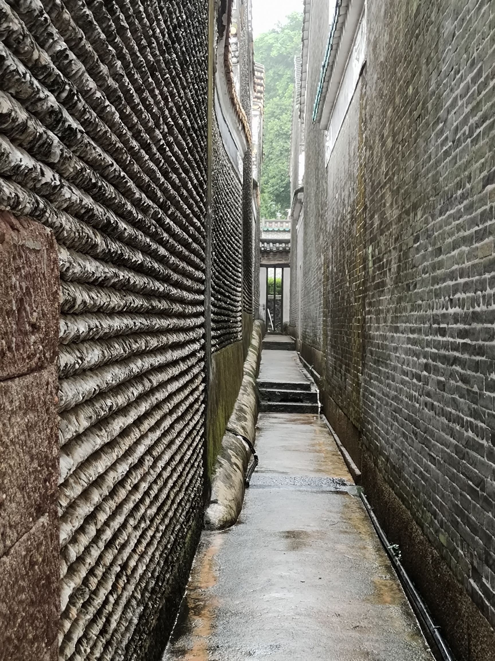 菉猗堂旅行图片 3