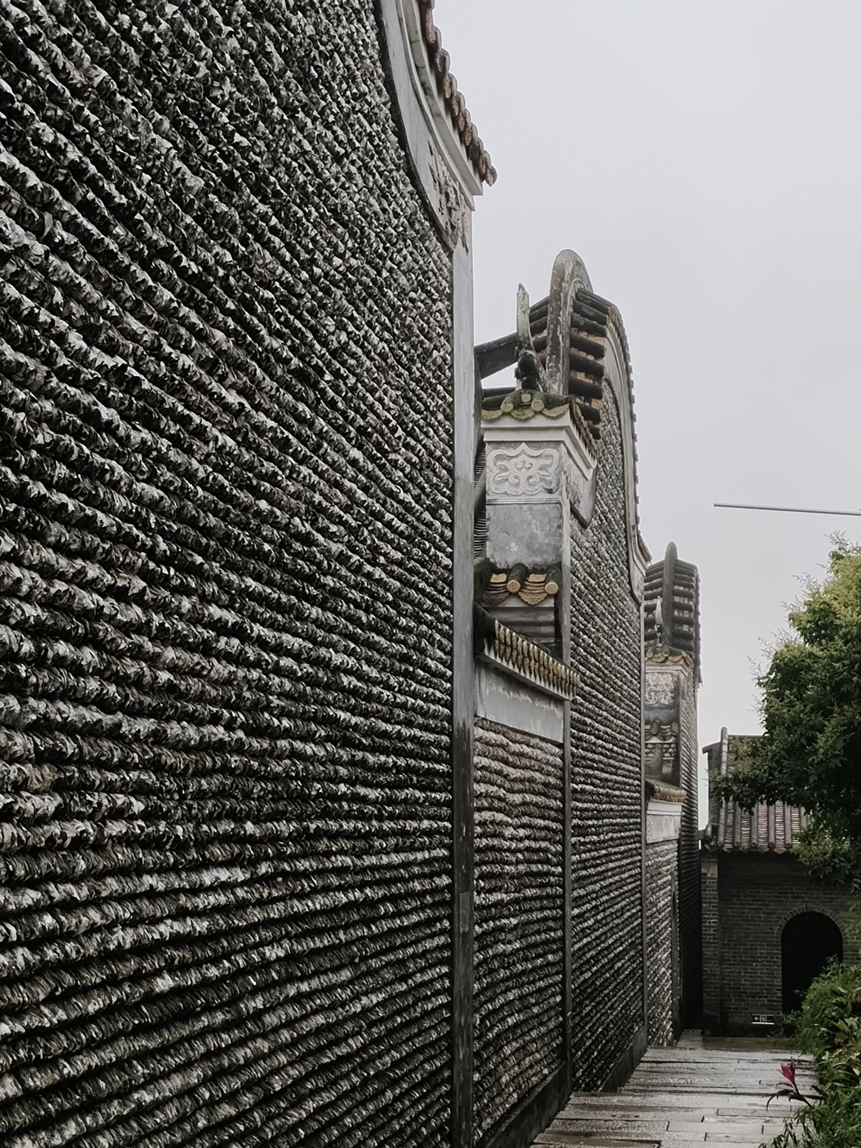 菉猗堂旅行图片 1