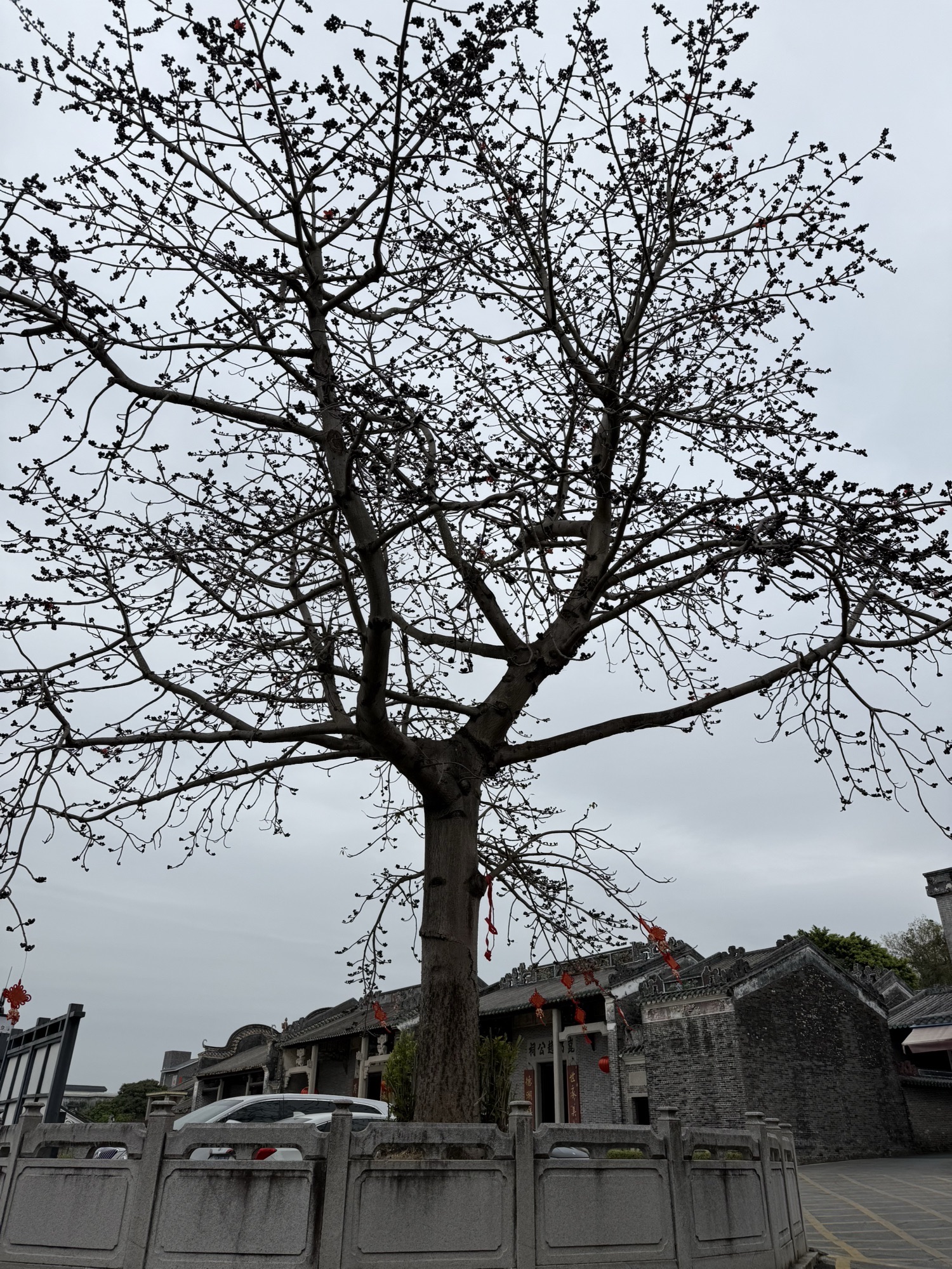 菉猗堂旅行图片 1