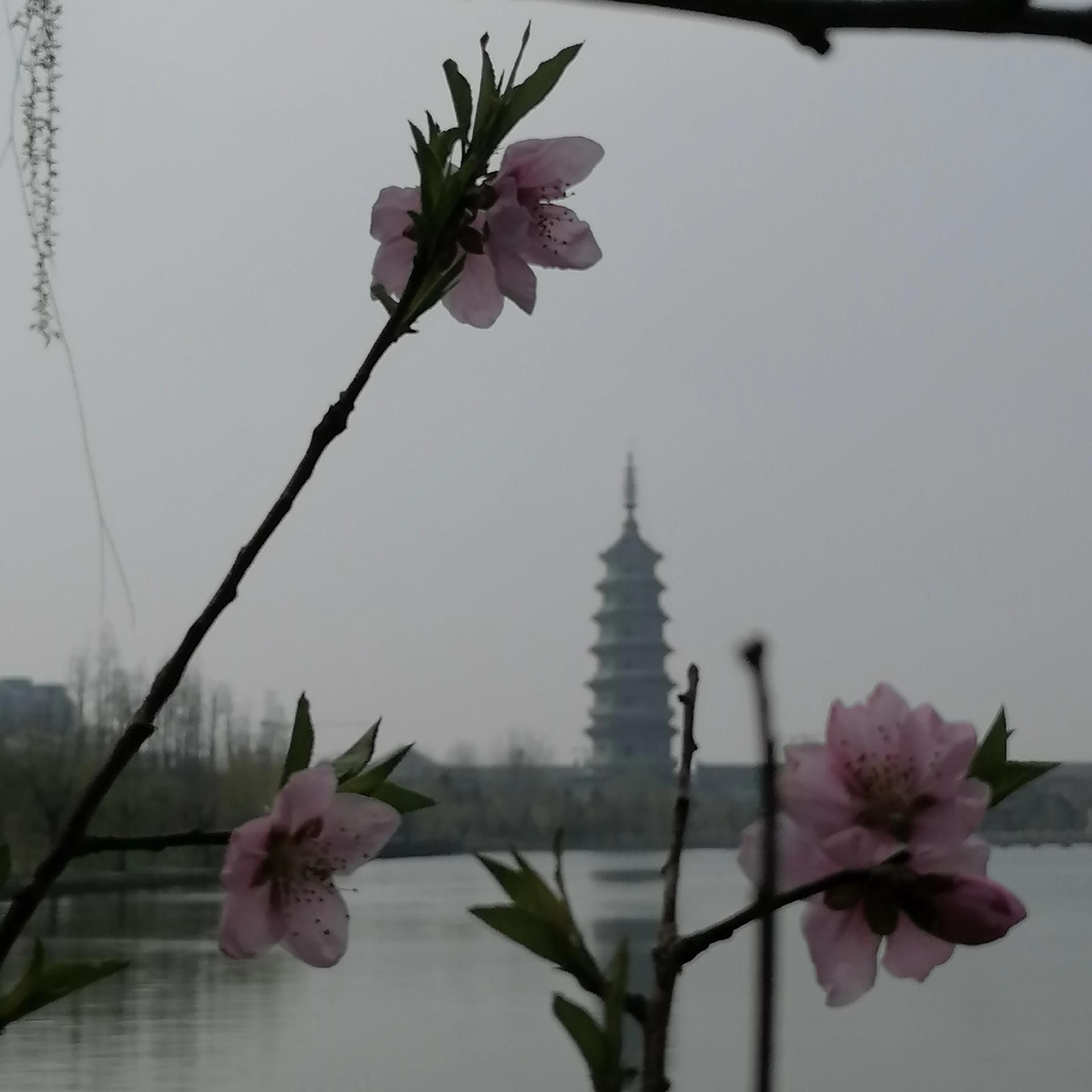 五岛湖旅游区旅行图片 2